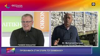ΠΡΟΒΛΗΜΑΤΑ ΣΤΗ ΣΠΟΡΑ ΤΟΥ ΒΑΜΒΑΚΙΟΥ_ΜΟΧΑΜΕΝΤ ΝΤΑΡΑΟΥΣΕ_ 08 05 2026
