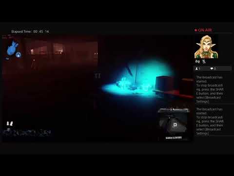 Infamous Second Son for bae pt14