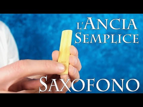 SAXOFONO – l'ancia semplice