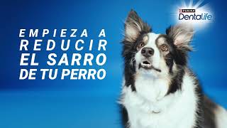 Purina Descubre la acción de limpieza natural anuncio