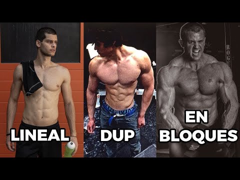 Periodización: Es La Clave Para Cuerpo Que Quieres