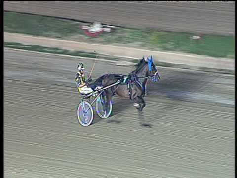 Trotto 24/06/2017 - prova di riqualifica