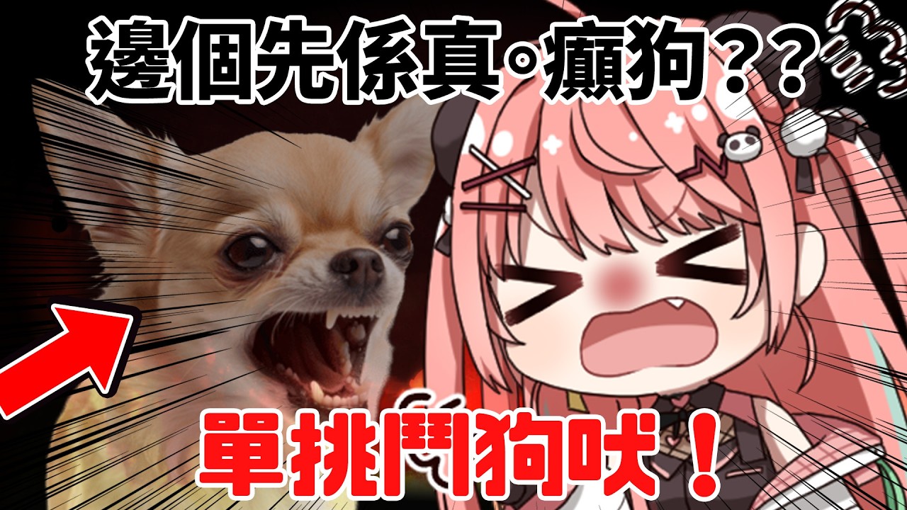 🔴【？】邊個先係癲狗？鬥狗吠單挑大會【米亞Mya】