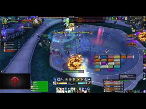 Troublemakers VS High Botanist (Heroic NH) Holy Priest