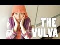 The Vulva The Vagina S Neighborhood 4