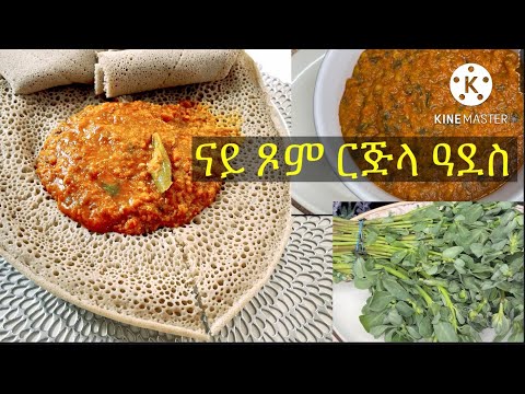 🔥Eritrean food 🥘 How to cook lentils & purslane 🇪🇷🇺🇸ምግቢ ዓደስ ምስ 🫑🍅ርጅላAserarha Ades mis rjila