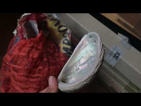 6.1: Preparing the Pearl Inlays (part 1)