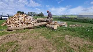 #stihl #ms500i having a play with the 500 on a small stick.