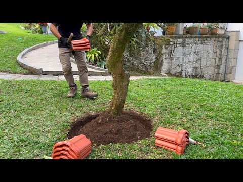 RECYCLED GARDEN: Turn Trash into Beauty! #2