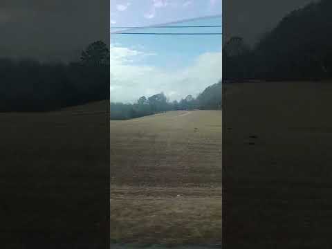 Driving through Griffin, GA 🥰  So Beautiful!