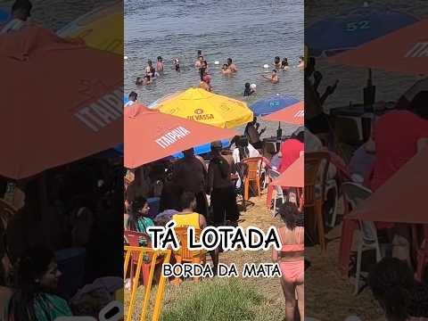 LOTADA LOTADA BORDA DA MATA CANHOBA SERGIPE #shorts #short #video #viral
