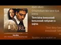 Tere Bina (Lyrics) | A.R. Rahman. Chinmayi. Murtuza Khan. Qadir