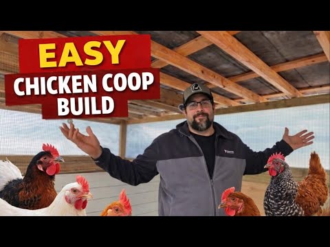 Easy DIY Chicken Coop Build | Cheap & Simple Homestead Coop (Start to Finish)