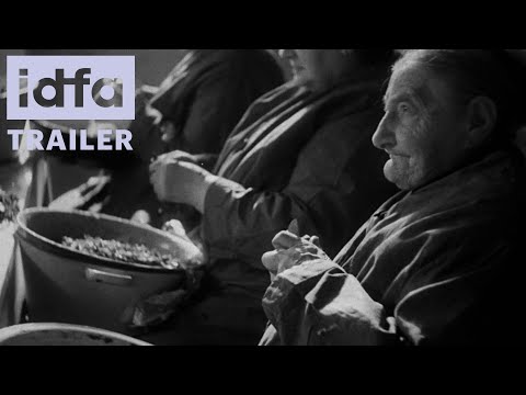 IDFA 2024 | Trailer | Neshoma