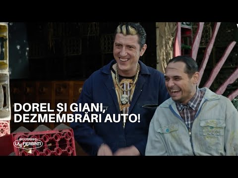 Dorel și Giani, dezmembrări auto! | LAS FIERBINȚI 2022