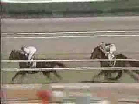 Breeders' Cup Turf 1986