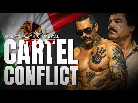 CARTEL CONFLICT 🚨 | When La Eme Meets the Cartel World