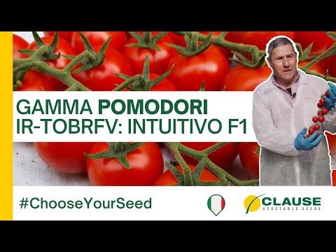Video: INTUITIVO F1 (HMC44486)