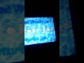 United Plankton Pictures Inc Nickelodeon 2008