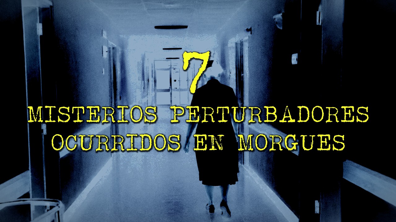 7 Misterios Perturbadores Ocurridos en Morgues Durante la Noche