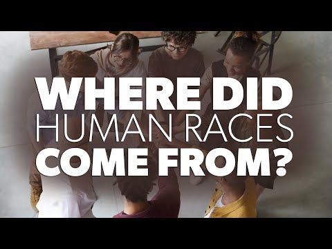 Where Did Human Races Come From? | Creation Questions