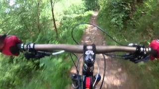 preview picture of video 'Cwmcarn Twrch Trail Dragons Tongue through to Finish!'