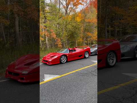 Ferrari F50 or Porsche Carrera GT