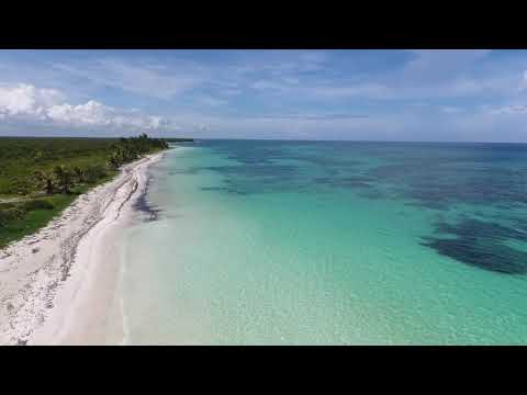 Vocal Liquid Drum and Bass Mix 2022 #2