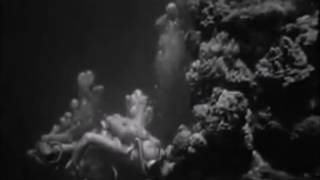 Biosphere - "Times When I Know You'll Be Sad" (1996)