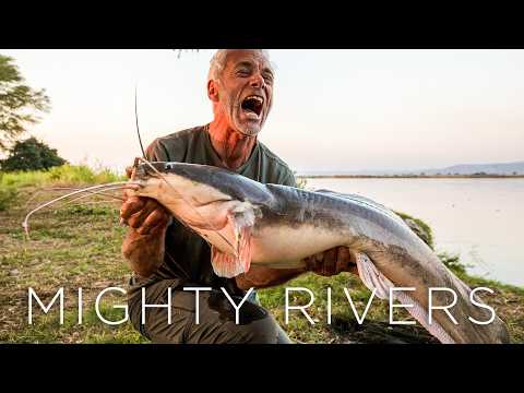 Catching The World's Biggest Fish In Mighty Rivers