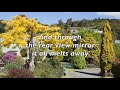 Jellyfish - Russian Hill (with Lyrics)