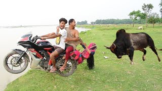 Best Amazing Funny Comedy Video 2021 Must Watch Full entertainment Video | Bindas Fun Masti | Video & Photo Best Amazing Funny Comedy Video 2021 Must Watch Full entertainment Video | Bindas Fun Masti | Video & Photo