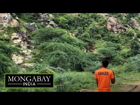 Next to India’s capital, a village looks to the past to protect its future