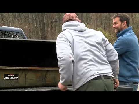 Bear Hunt Opposition