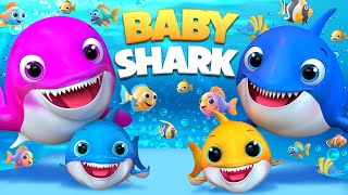 Download lagu 🎧 Baby Shark's Dance Song - Baby songs -Nursery Rhymes & Kids Songs #BabyShark #shorts #kidsmusic mp3 Download lagu 🎧 Baby Shark's Dance Song - Baby songs -Nursery Rhymes & Kids Songs #BabyShark #shorts #kidsmusic mp3