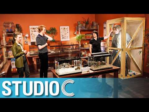Angie’s Fancy Pet Store - Studio C
