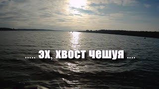 Эх, хвост чешуя! Краткий отчёт с рыбалки. Волга, Белый городок