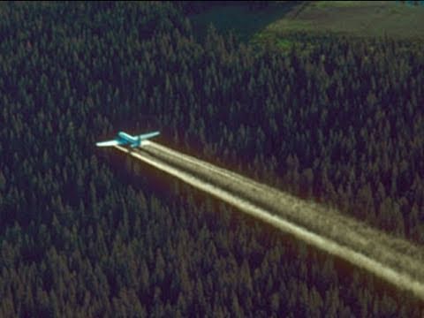 DDT - Periodic Table of Videos