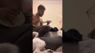 Jack Johnson - Seasick Dreams on untuned bajolele with dog