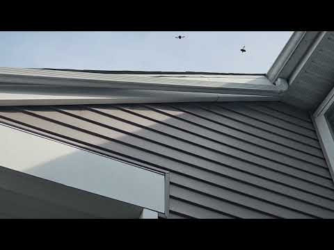 Treating for Carpenter Bees in New Brunswick, NJ