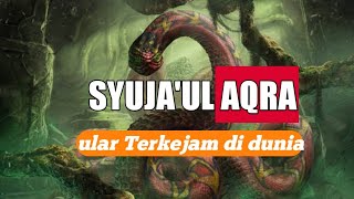 Download lagu ULAR SYUJA'UL AQRA'-ULAR PENYIKSA DIALAM KUBUR BAGI YG MENINGGALKAN SHALAT | Habib Rifky Alaydrus mp3 Download lagu ULAR SYUJA'UL AQRA'-ULAR PENYIKSA DIALAM KUBUR BAGI YG MENINGGALKAN SHALAT | Habib Rifky Alaydrus mp3