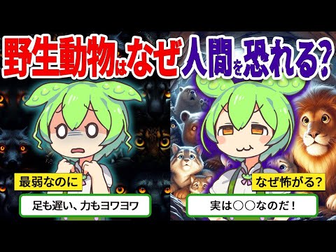 野生動物の回廊: 人間の要因に注意してください!