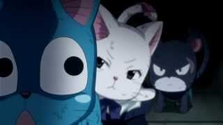 Did you touch it......Fairy Tail Cats