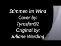 Juliane Werding Stimmen im Wind Cover
