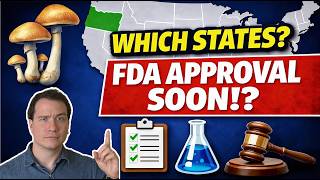 Psilocybin Therapy 2026 Update: FDA Phase 3, Legal States, Lab Testing