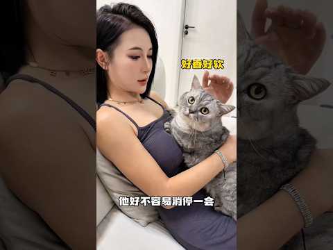 similar to being a fan of K-POP😂 #cat