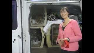 Midnite, Riley & Sandy NEW LIFE