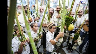 מיוחד! תפילה בליווי כלי נגינה בבית כנסת אבוהב צפת