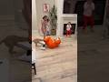 Our Dog Attacked Mr Creepy Eyes Shorts