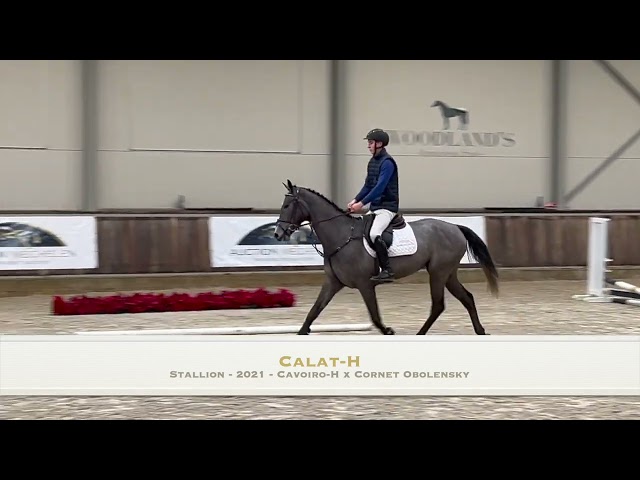 Calat-H